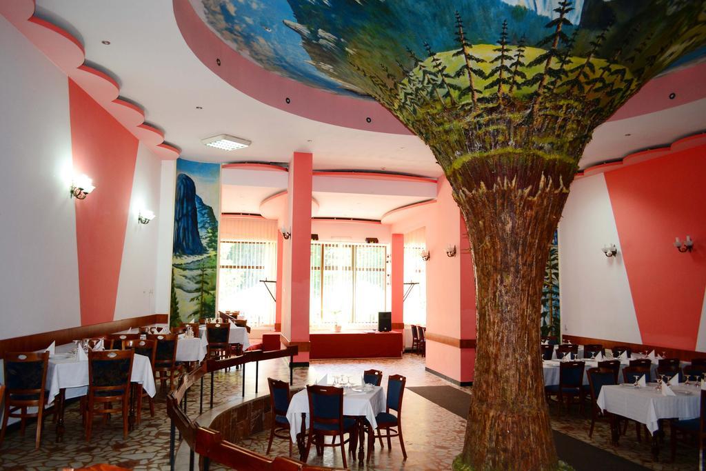 Hotel Bradul Durau Extérieur photo
